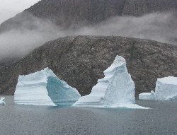 Iceberg